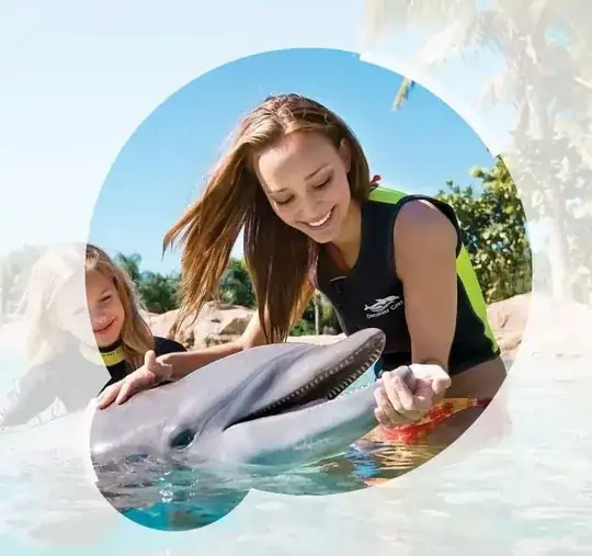 введите сюда описание изображения