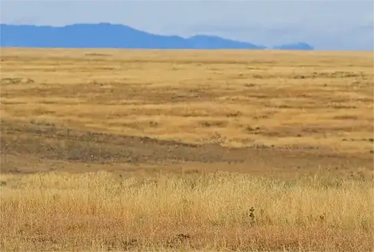 введите сюда описание изображения