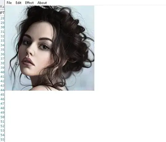 введите сюда описание изображения