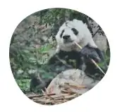 Само изображение и рамка выглядят таким образом.