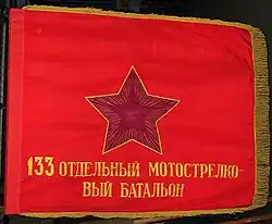 Боевое Знамя. 133-й отдельный мотострелковый батальон