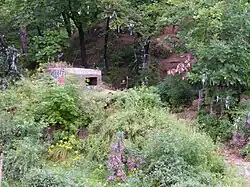 ДОТ вблизи посёлка Горные Ключи (Приморье)