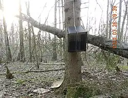 Ловушка на путике