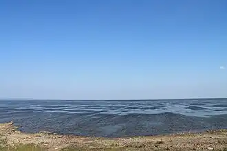 Вид на озеро Варчато летом 2013 года.