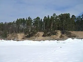 Дюны  на берегу залива