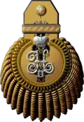 Эполет генерал-адъютанта в чине адмирала (1904—1917)