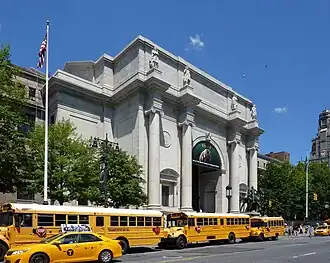 Школьные автобусы у стен музея