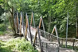 Пешеходный мост с W-образным оформлением в Горкинском лесу (июль 2019)
