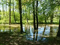 Река Барайе