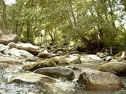 Река у Гырляно