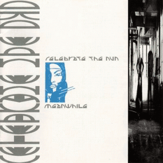 Обложка альбома Celebrate the Nun «Meanwhile» (1989)