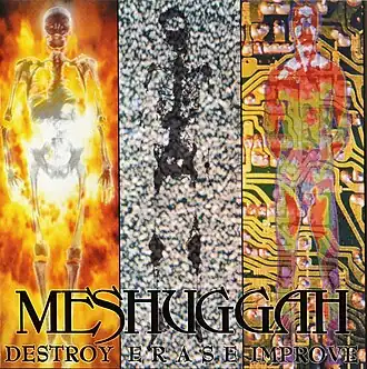 Обложка альбома Meshuggah «Destroy Erase Improve» (1995)