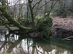 Река Бёрн в январе 2007 года