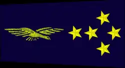 Знаки различия генерала армии, ВВС, Франция.