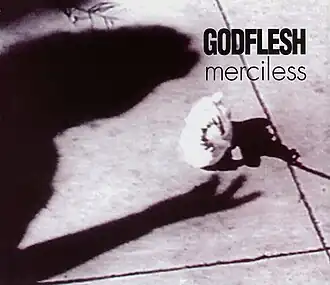 Обложка альбома Godflesh «Merciless» (1994)
