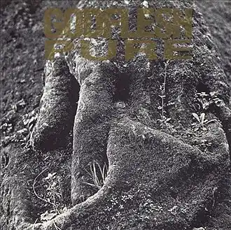 Обложка альбома Godflesh «Pure» (1992)