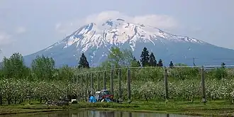 Горы Иваки и яблоневый сад