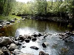 Среднее течение Лобе около населённого пункта Крапе весной 2000 года