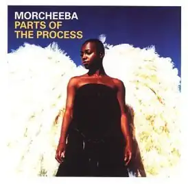 Обложка альбома Morcheeba «Parts of the Process» (2003)