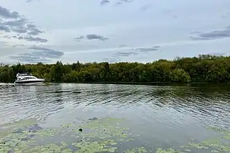 Бобровый остров (2022 год)