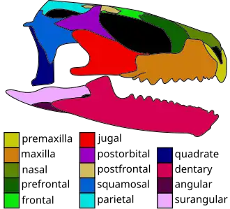Реконструкция черепа