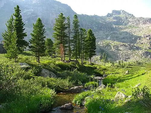 Нижняя Буйба около истока