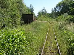 Используемая главная ветка Гусевского ППЖТ (в нескольких километрах от пос. Мезиновский)