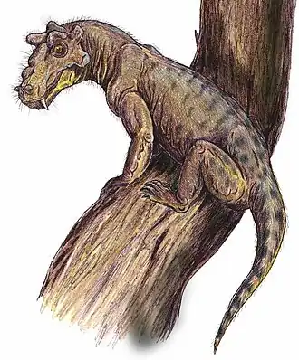 Реконструкция Proburnetia viatkensis