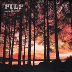 Обложка сингла Pulp «Sunrise / The Trees» (2001)
