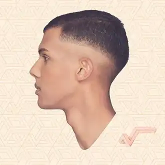 Обложка альбома Stromae «Racine carrée» (2013)