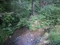 Впадение Рогачёвки (мощный поток слева) в Раменку (более слабый поток справа)