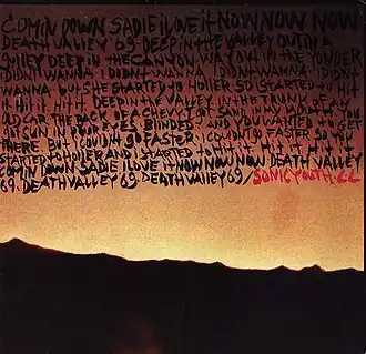 Обложка сингла Sonic Youth «Death Valley '69» (1984)