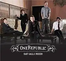 Обложка сингла OneRepublic «Say (All I Need)» (2008)
