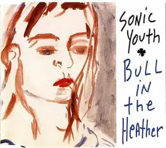 Обложка сингла Sonic Youth «Bull in the Heather» (1994)
