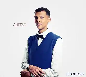 Обложка альбома Stromae «Cheese» (2010)
