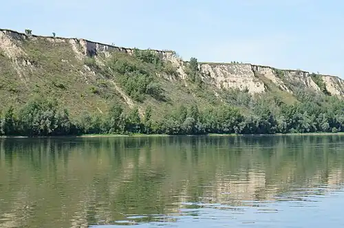 Склон V-й террасы реки Бия в районе посёлка Боровой