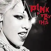 Обложка альбома Pink «Try This» (2003)